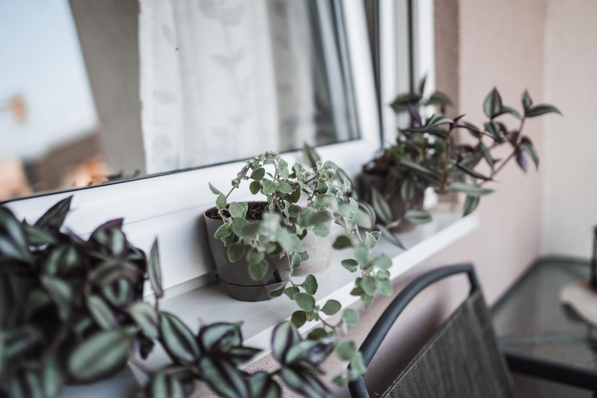 Apartman Centar Добой Екстер'єр фото